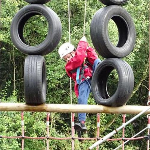 bdcb576d-c6b1-4b11-ba61-d1ae89d2bfff1x1